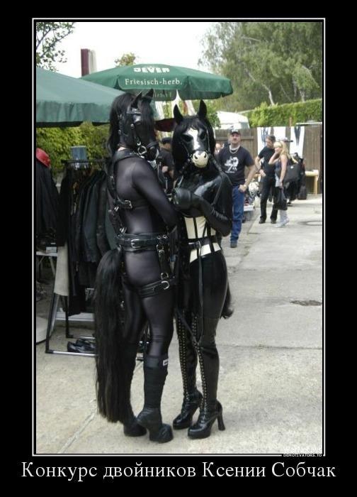 Демотиваторы (70 фото)