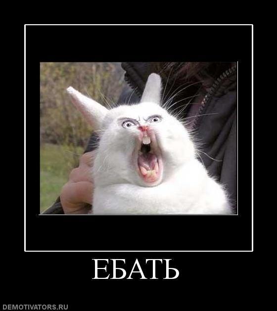 Демотиваторы (70 фото)