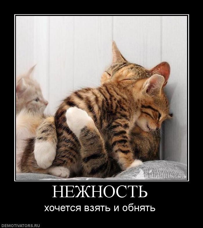 Демотиваторы (70 фото)