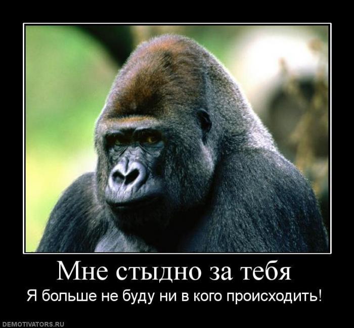 Демотиваторы (70 фото)