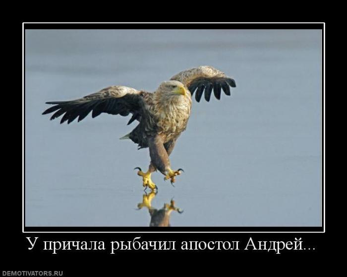 Демотиваторы (70 фото)