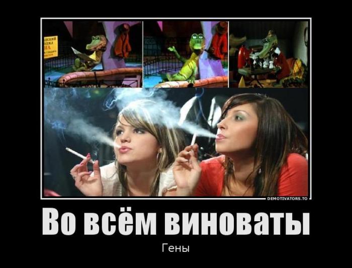 Демотиваторы (70 фото)