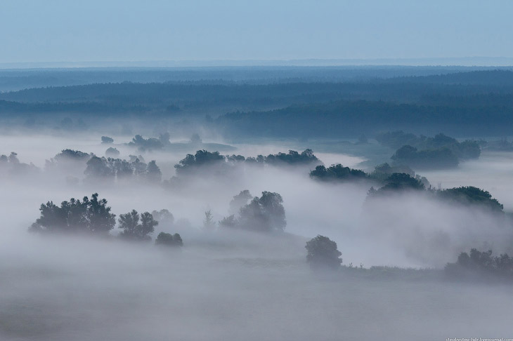 Королевство туманов