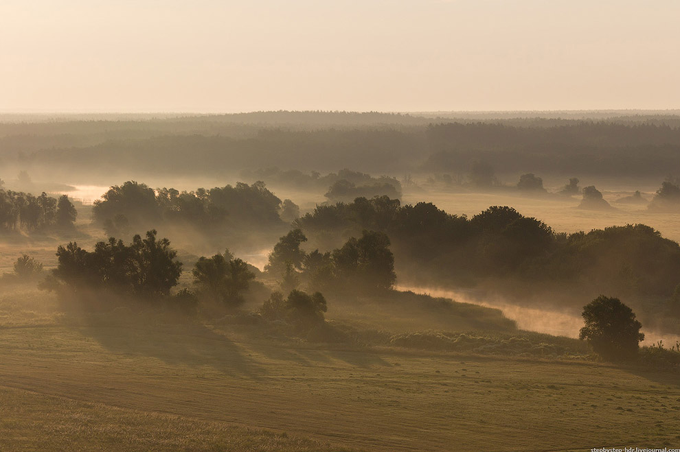 Королевство туманов