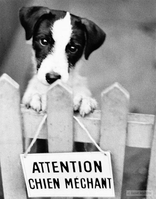 Гений фотографии (48 фото)