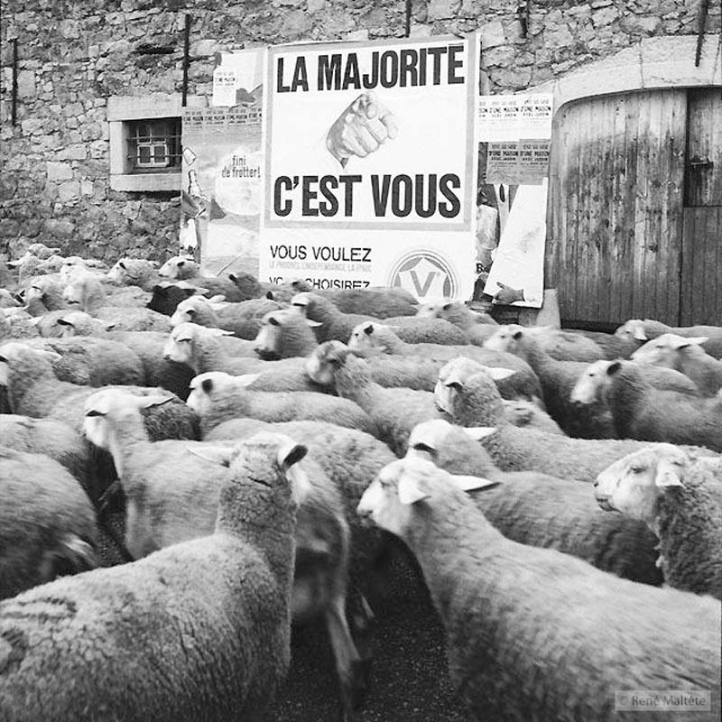 Гений фотографии (48 фото)