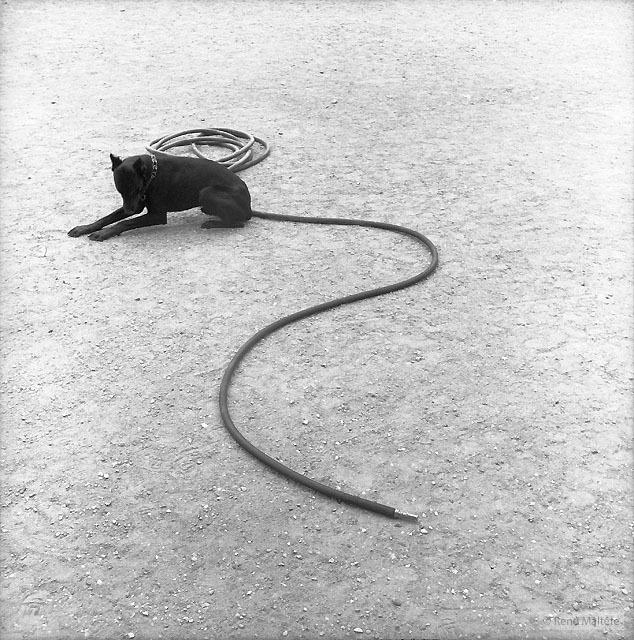 Гений фотографии (48 фото)