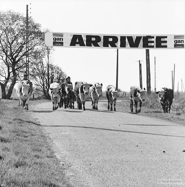 Гений фотографии (48 фото)