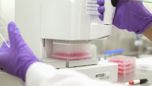 Спорим, вы не знали (9 фото) Спорим, вы не знали (9 фото)