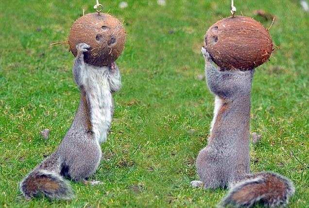 Отрезвляющие факты о смерти