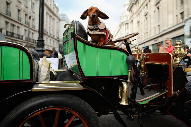 Самый старый автопробег в мире
