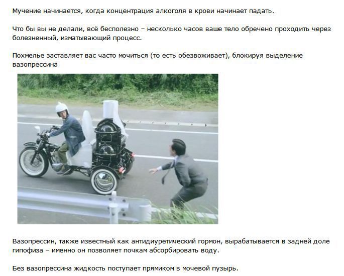 Что такое похмелье (10 фото)