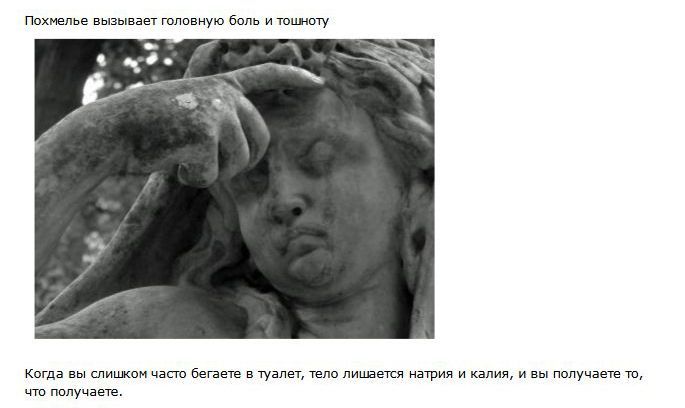 Что такое похмелье (10 фото)