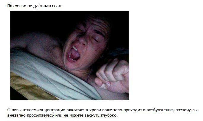 Что такое похмелье (10 фото)
