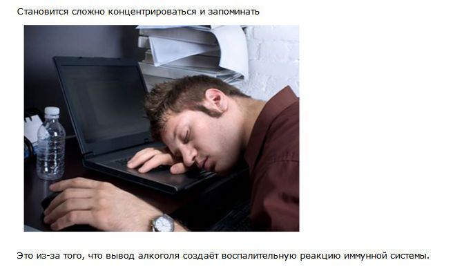 Что такое похмелье (10 фото)