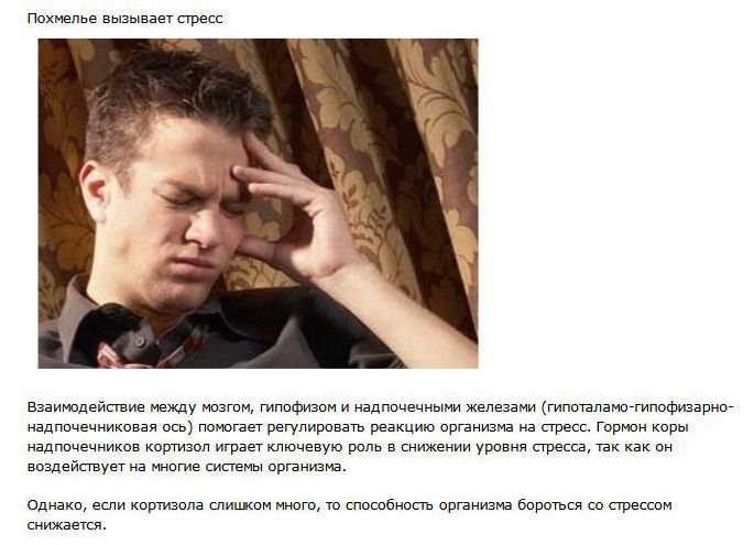 Что такое похмелье (10 фото)