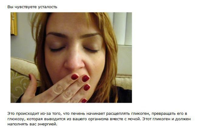 Что такое похмелье (10 фото)