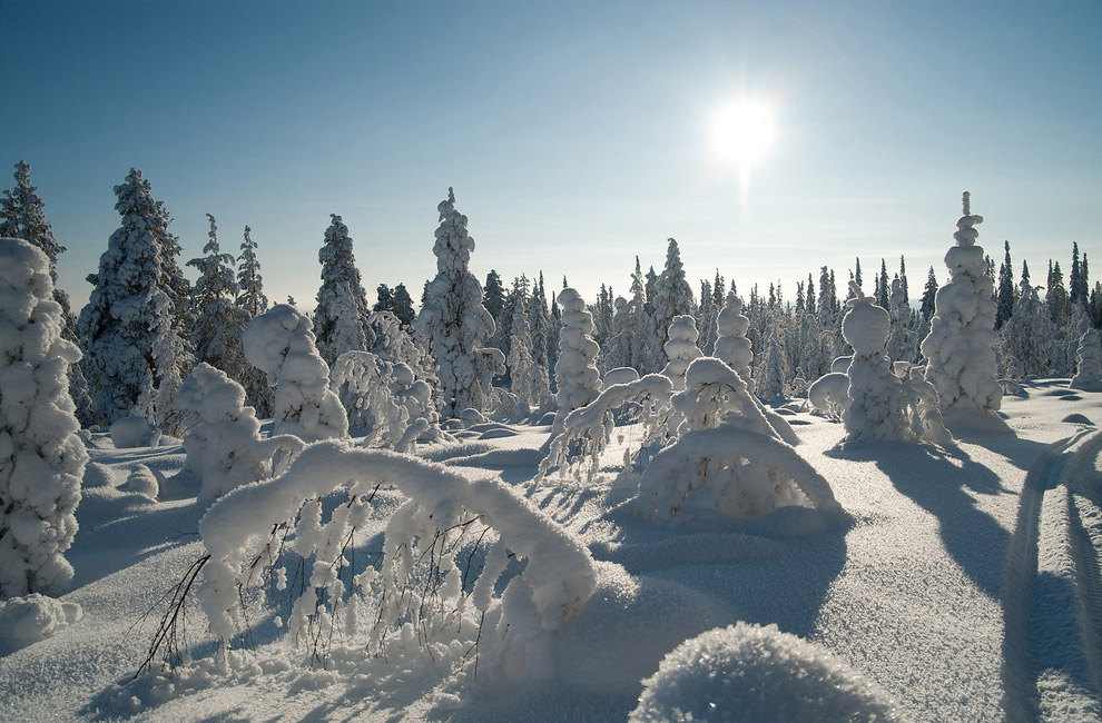 Самые процветающие страны в 2013 году Самые процветающие страны в 2013 году