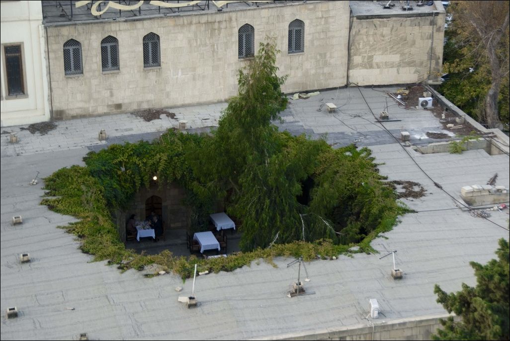 Кучка картинок