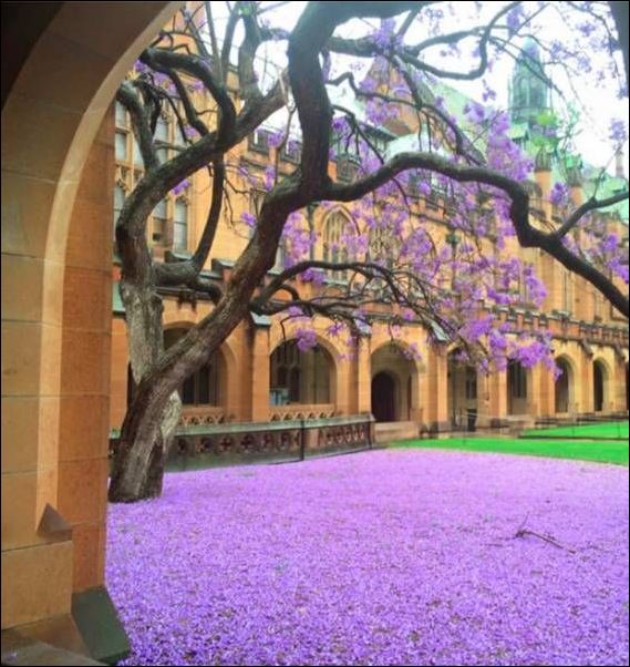 Кучка картинок