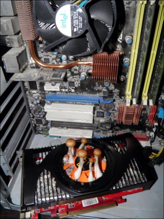 Кучка картинок