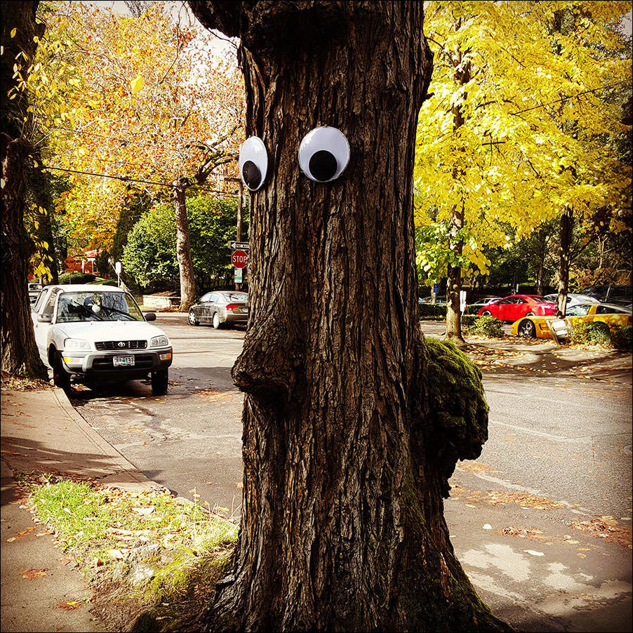 Кучка картинок