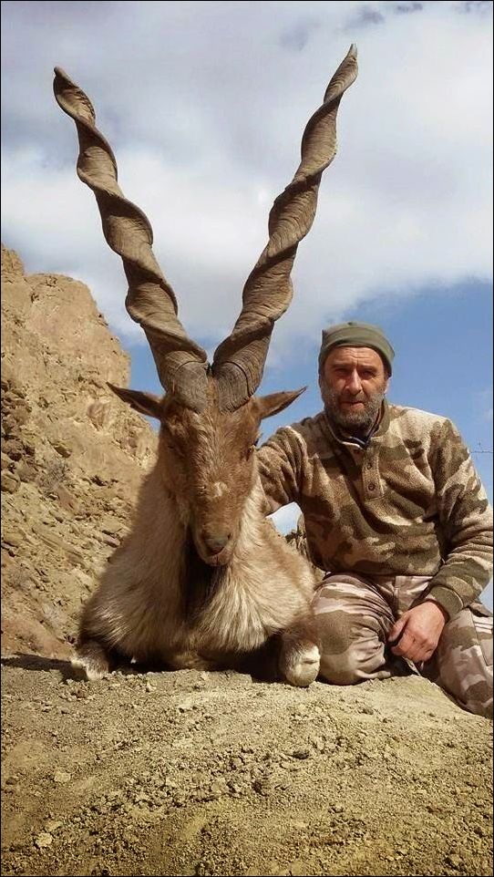 Кучка картинок