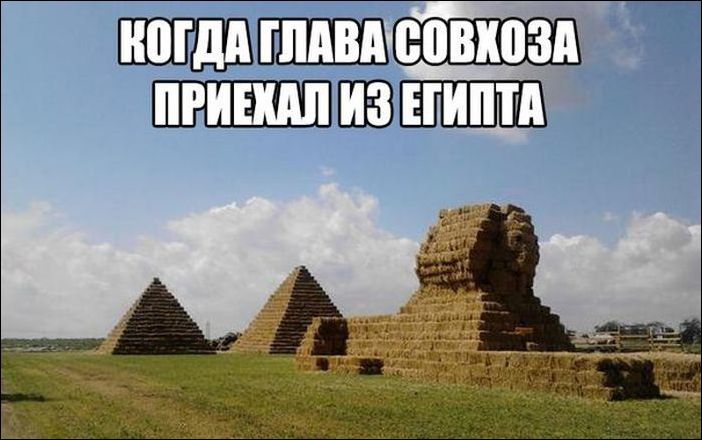 Кучка картинок