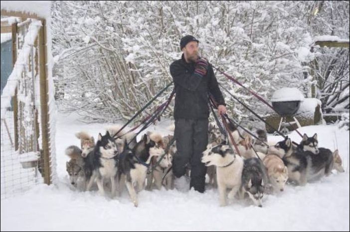 Кучка картинок