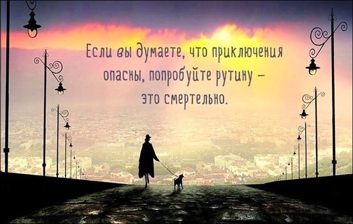 Кучка картинок