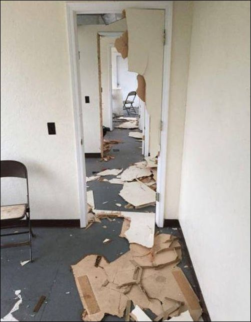 Кучка картинок