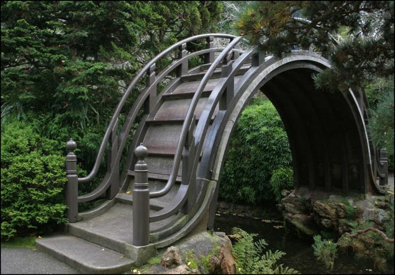 Кучка картинок