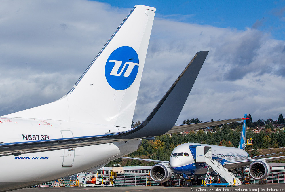 Небесный Интерьер: колыбель над облаками для путешественников