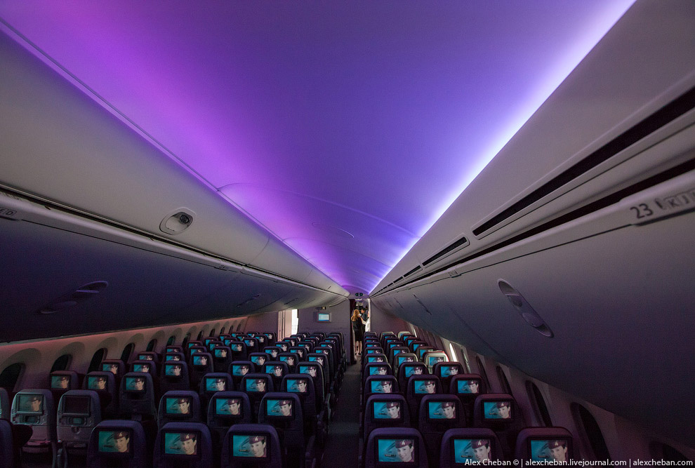 Небесный Интерьер: колыбель над облаками для путешественников