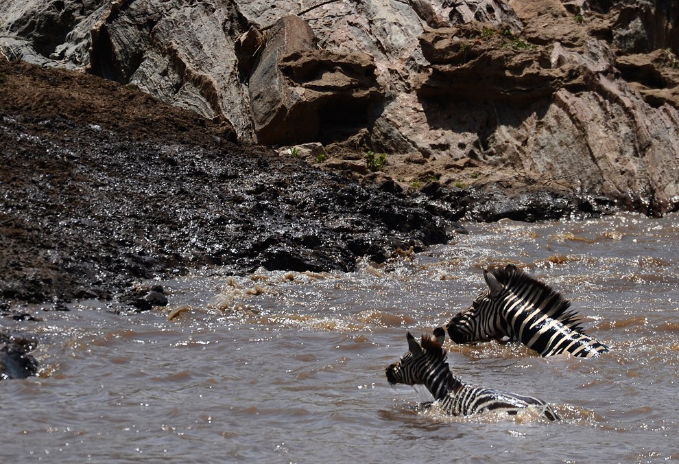 Африканское сафари