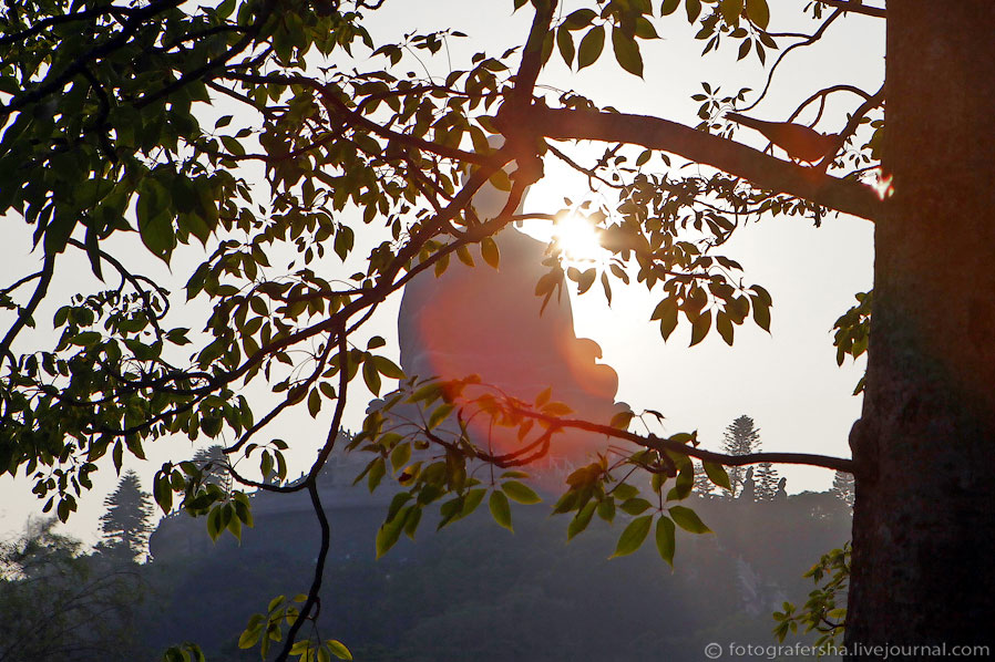 Большой Будда Большой Будда