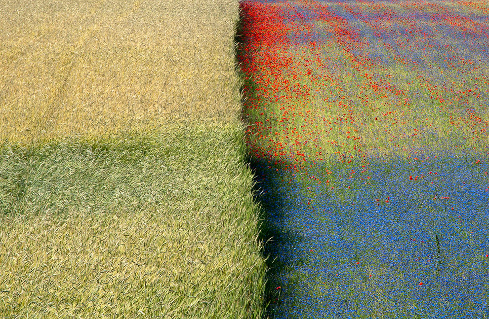 Конкурс Sony World Photography Awards 2013