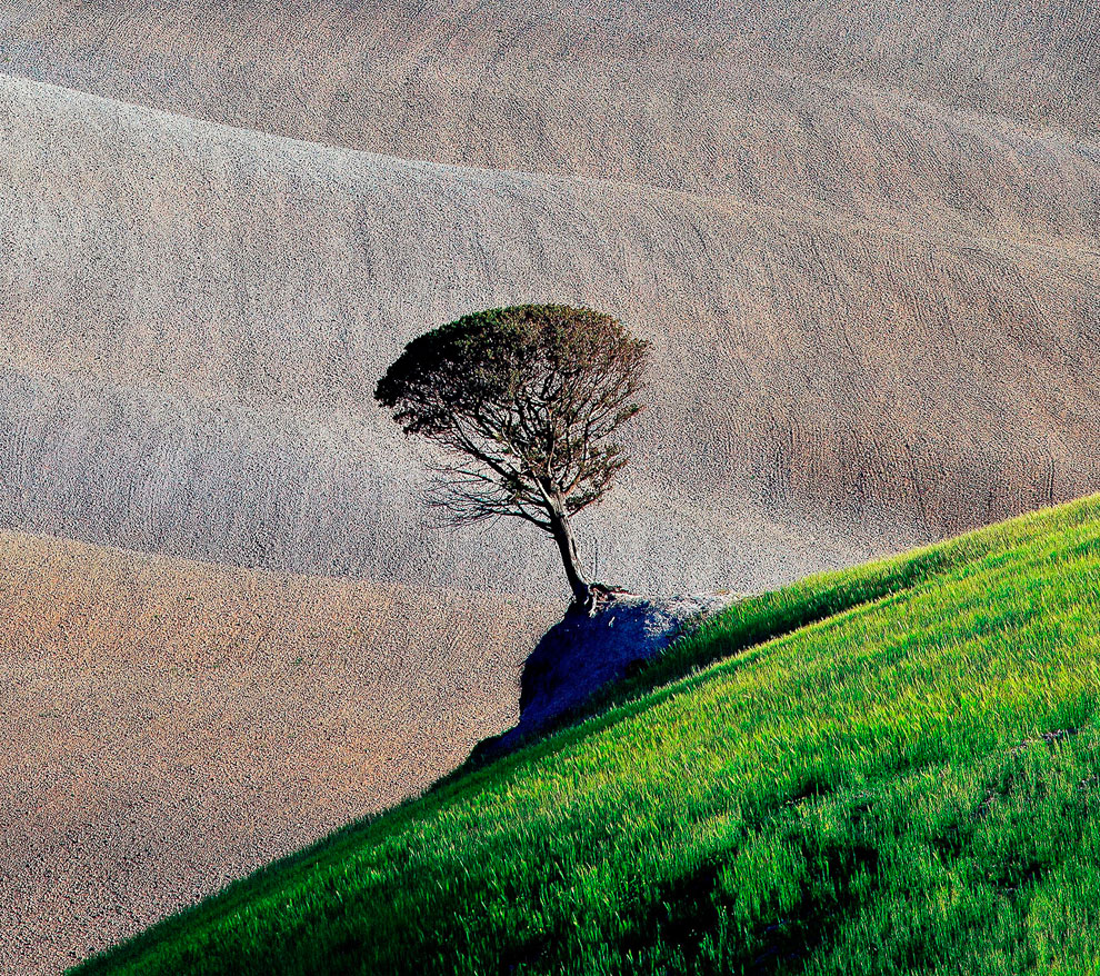 Конкурс Sony World Photography Awards 2013