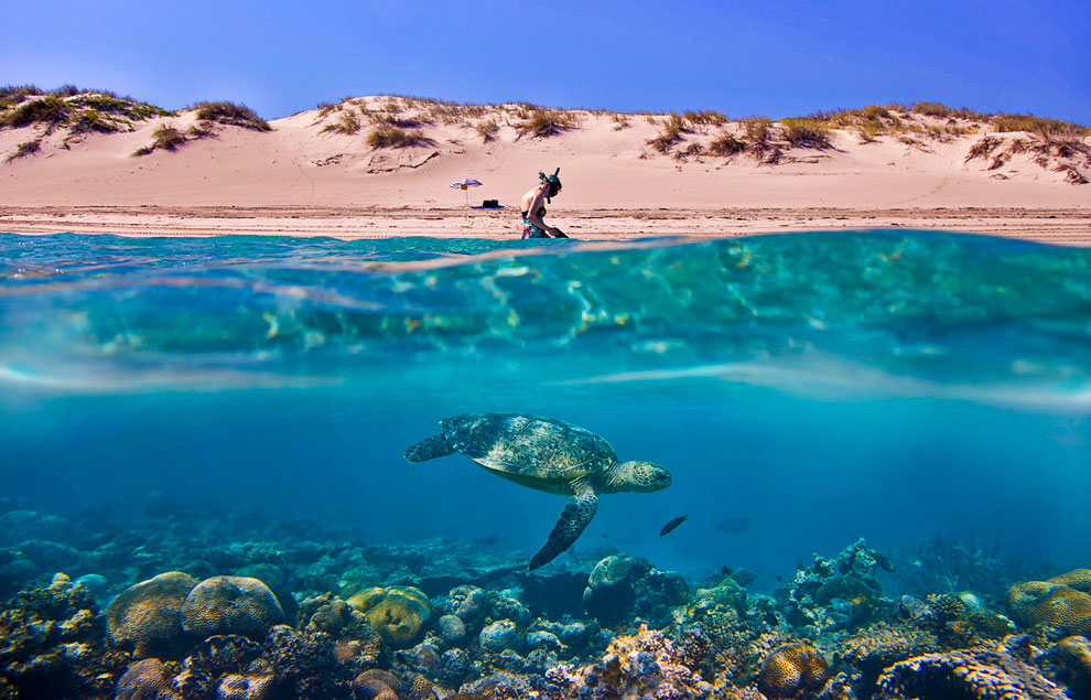 Конкурс Sony World Photography Awards 2013