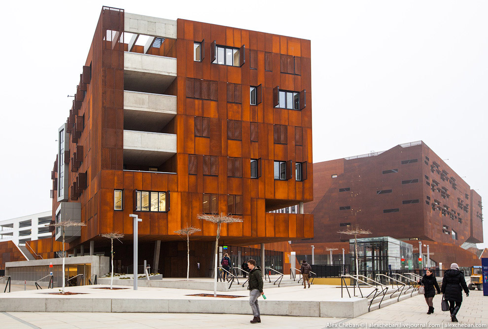 Идеальный современный университет