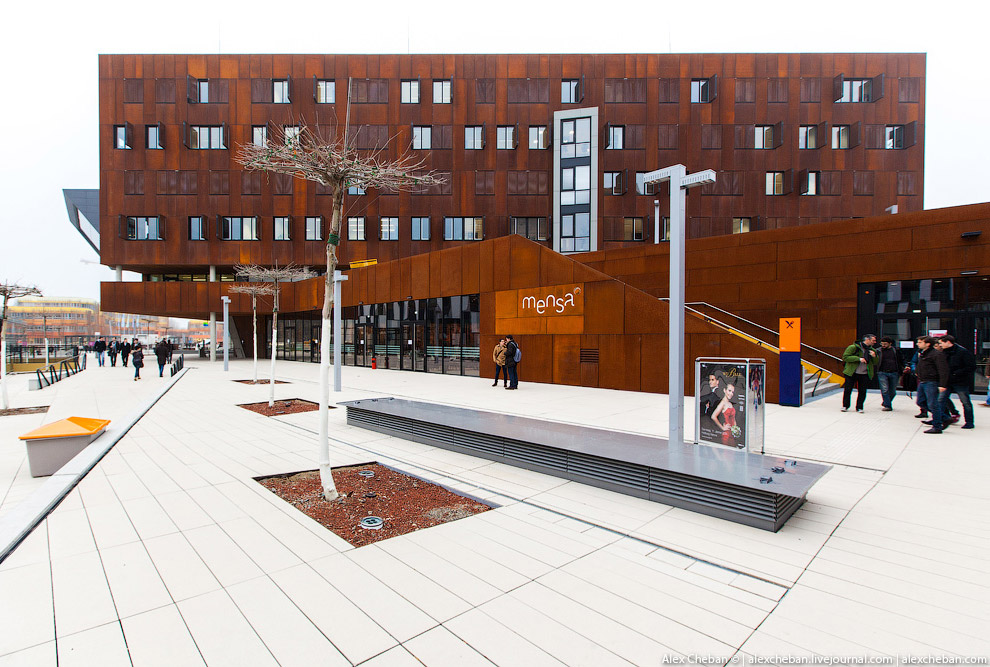 Идеальный современный университет