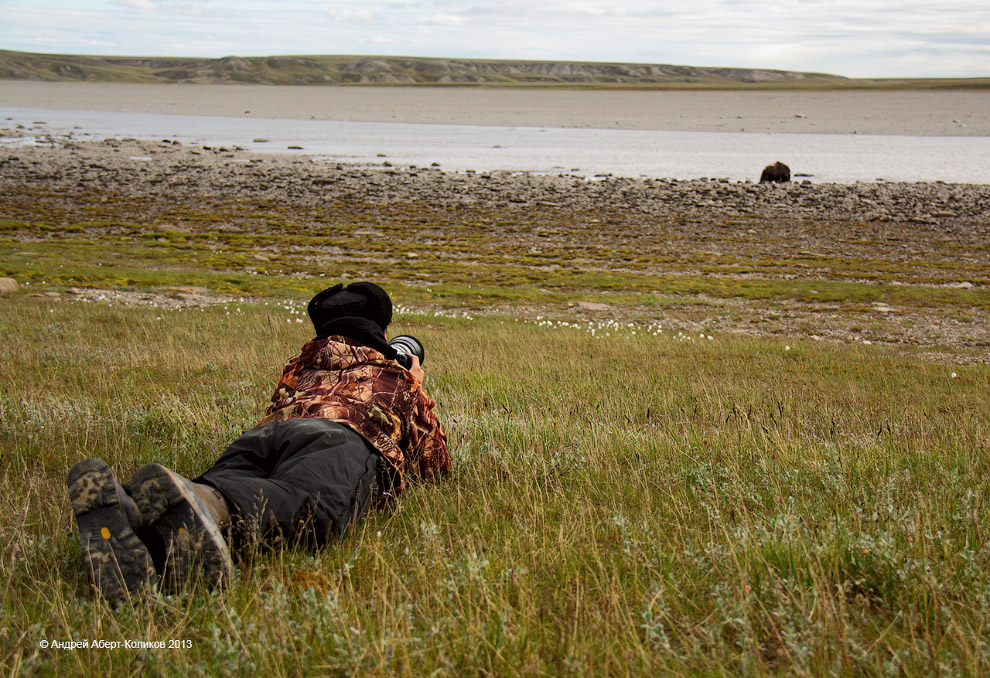 «Мамонты» на реке Мамонта «Мамонты» на реке Мамонта