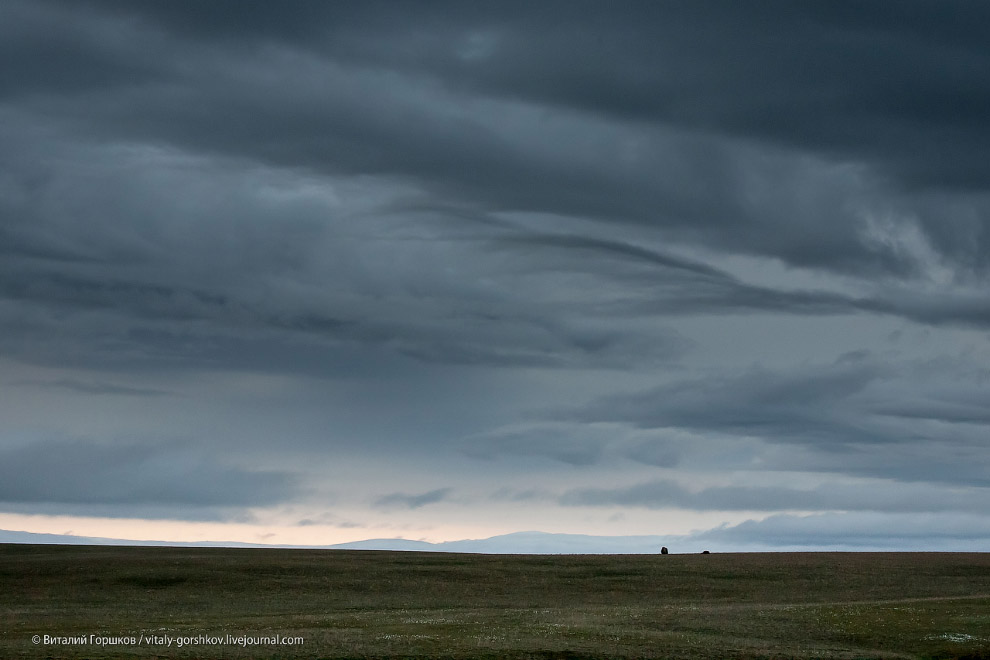 «Мамонты» на реке Мамонта «Мамонты» на реке Мамонта
