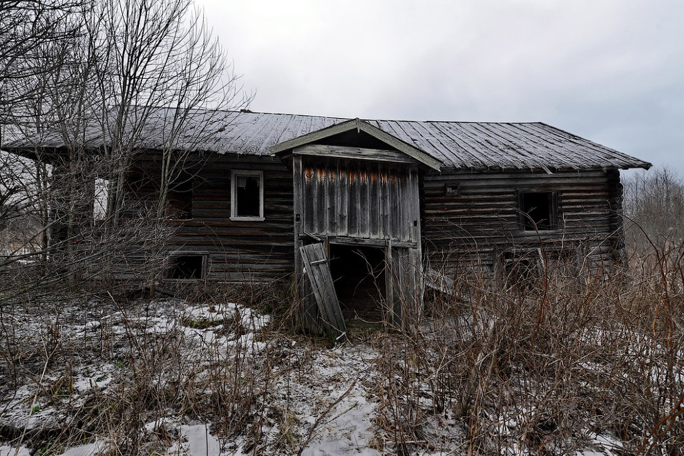 Дома Русского Севера