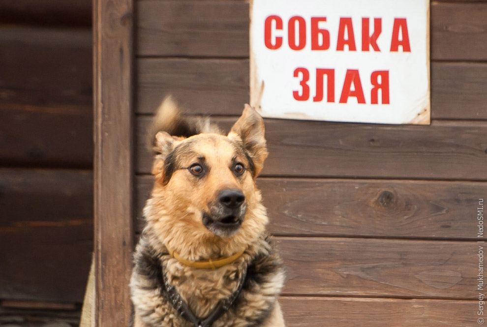 Пирамида Голода