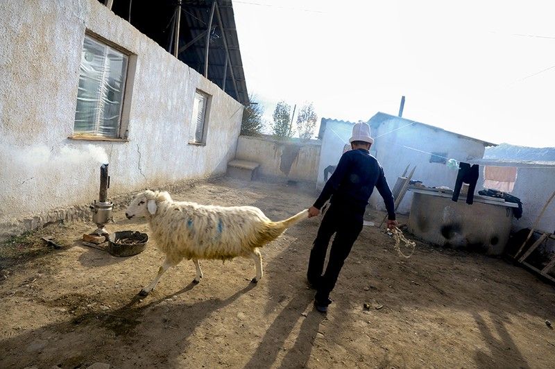 Краденые невесты Киргизии (30 фото)