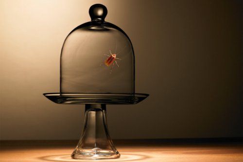 Самые странные музеи мира (10 фото) Самые странные музеи мира (10 фото)