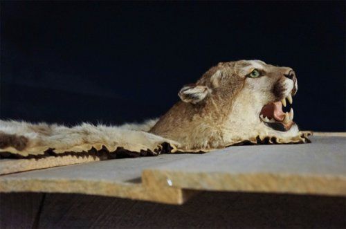 Самые странные музеи мира (10 фото) Самые странные музеи мира (10 фото)