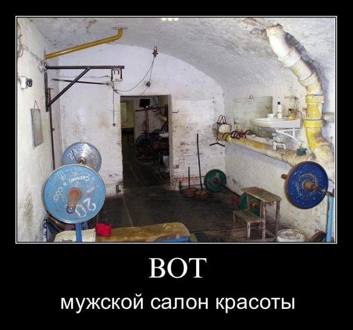 Прикольные картинки (61 фото)