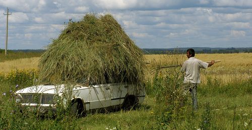 Прикольные картинки (61 фото)